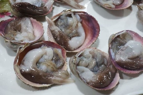 걸공 김영복의 맛있는 이야기/새조개(璽雕開)