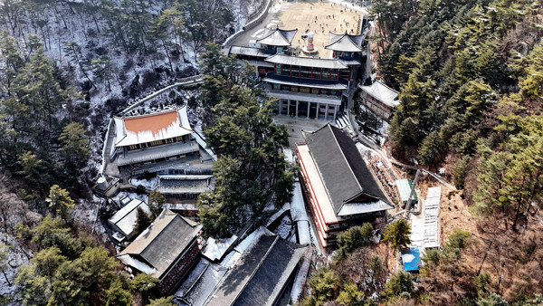 갑진년 새해 우리나라 제일 큰 사찰은 찿은 사람들